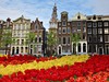 Amsterdam_mesto_kvetin.jpg